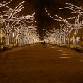 Unter_Den_Linden_1_HDR.jpg