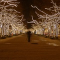 Unter Den Linden 2 HDR